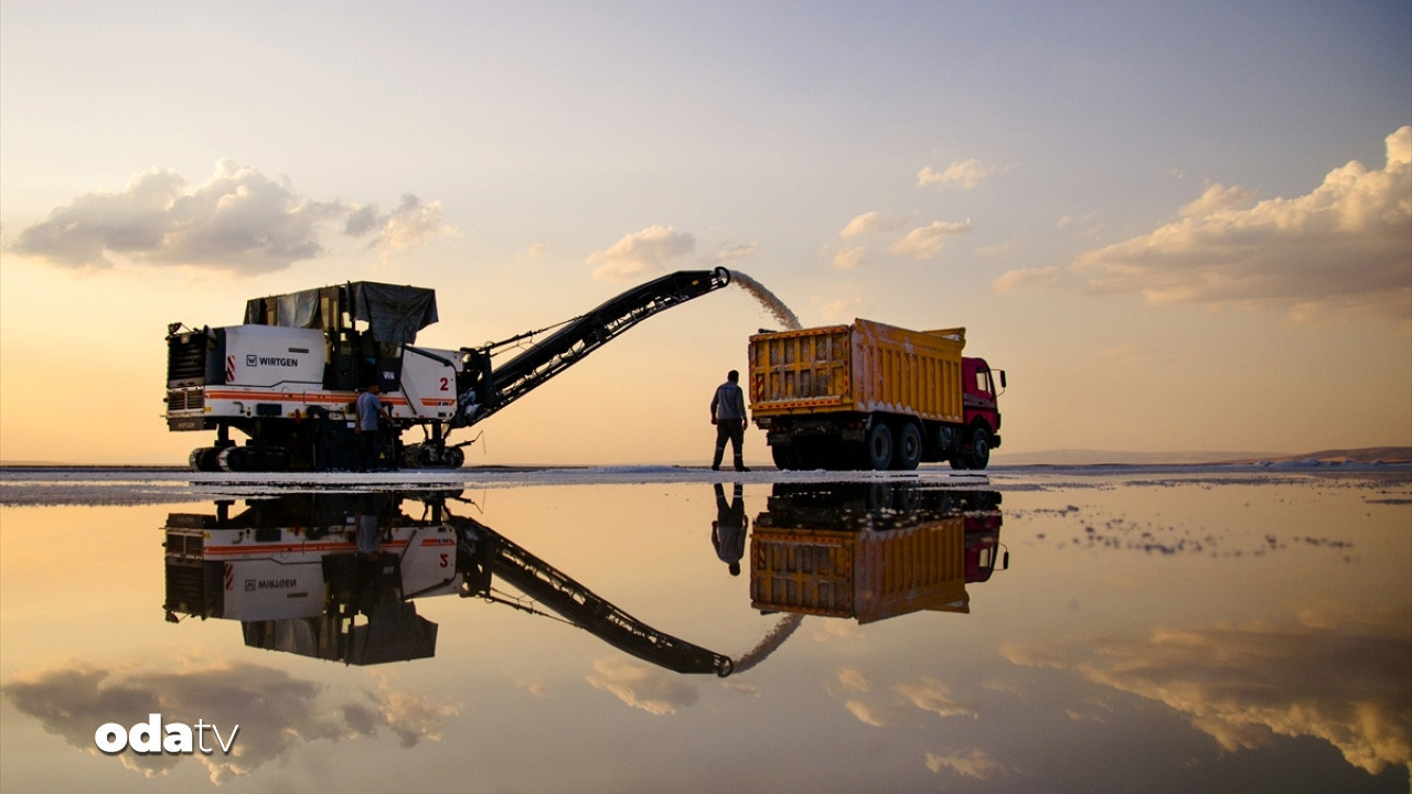 Anadolu’nun beyaz hazinesi 5 kıtaya ulaştı anadolunun beyaz hazinesi 5 kitaya ulasti Ywn4uip9