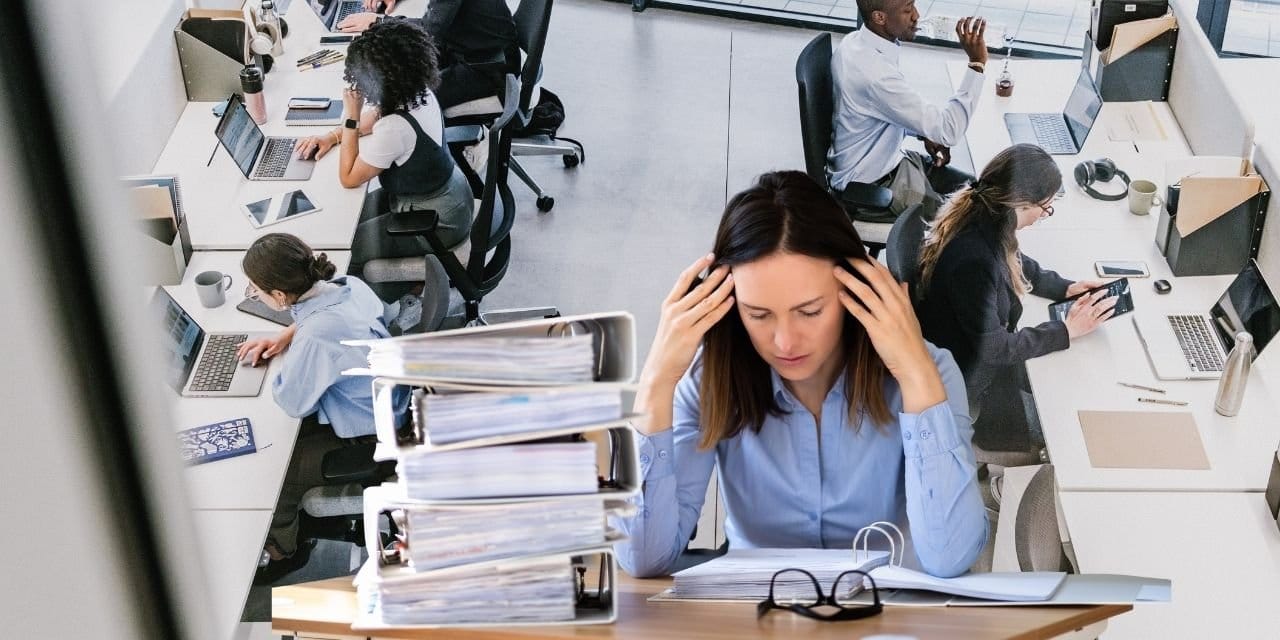 ovpde dikkat ceken adim esnek calisma ve 25 yas alti ogrencilere bes geliyor XXvKBY1S