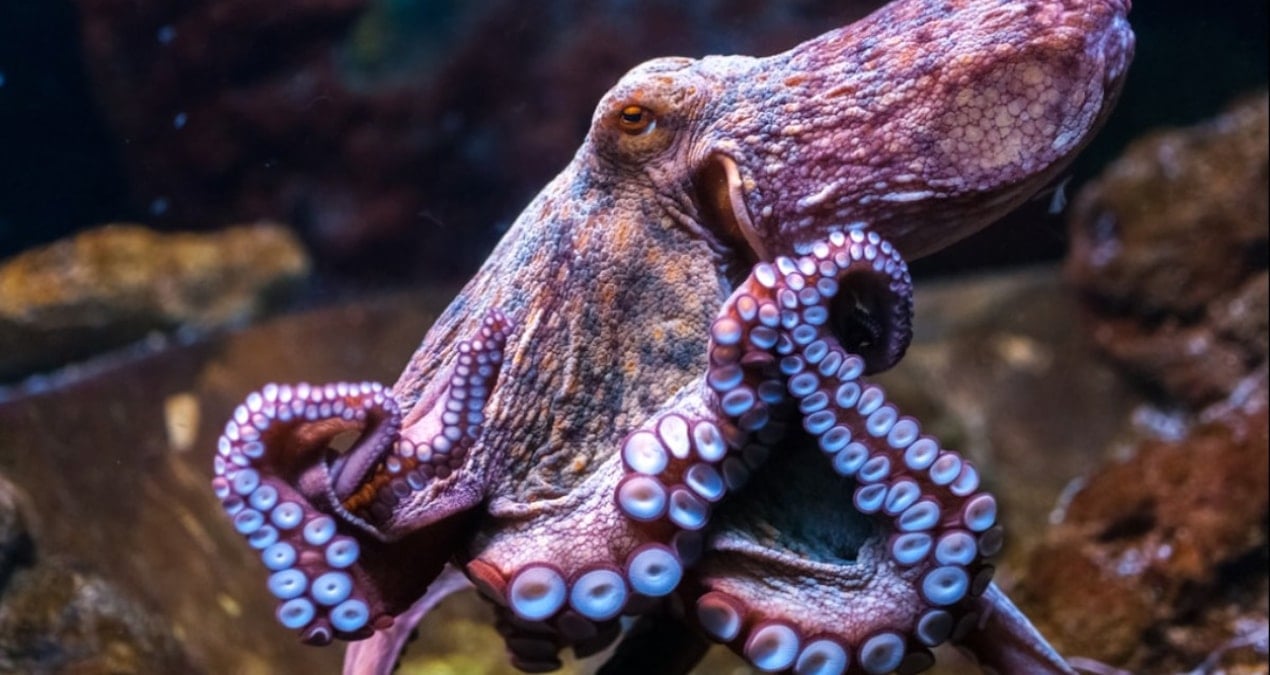 sandigimizdan daha planli calisiyor her kol kendi gorevini biliyor jNQcUgO8