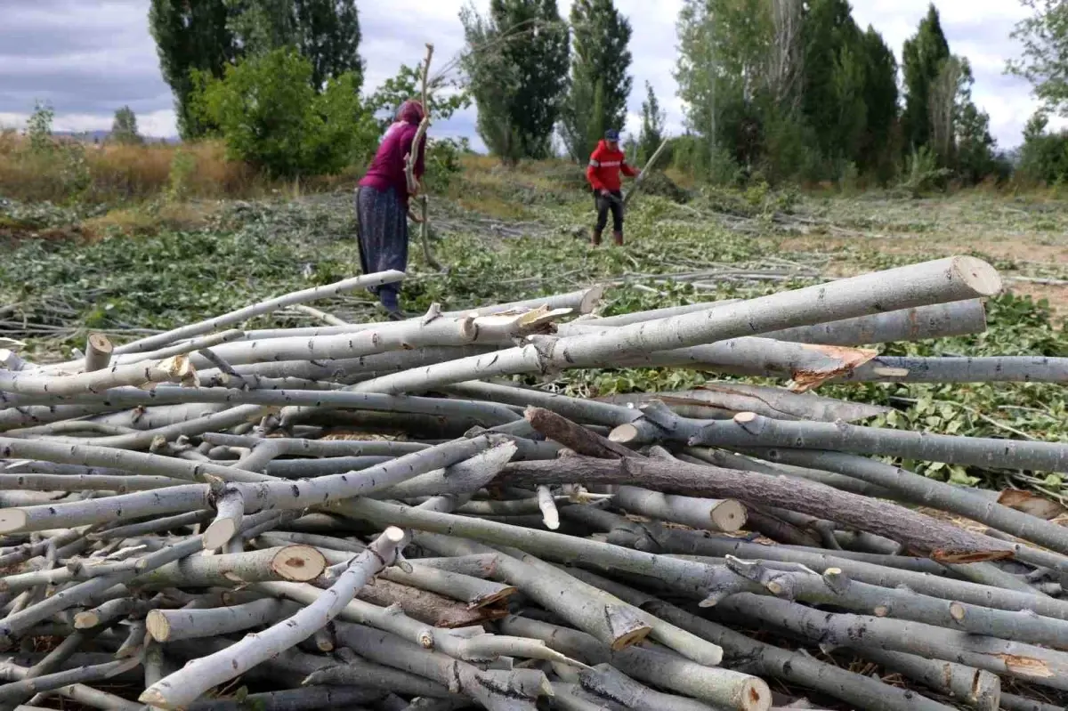 Erzincan’da Kışlık Yakacak Hazırlıkları Devam Ediyor erzincanda kislik yakacak hazirliklari devam ediyor 2rnnp3m7.jpg