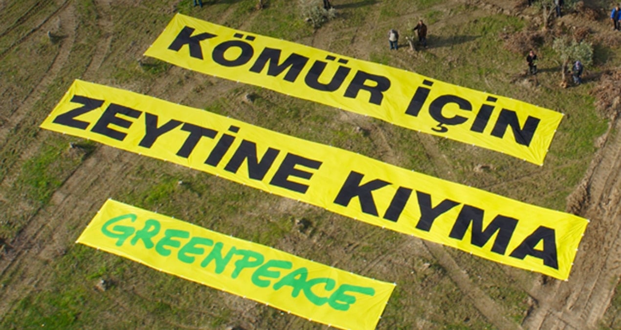greenpeace akbelene destekkampanyasi baslatti XDWdZNw4