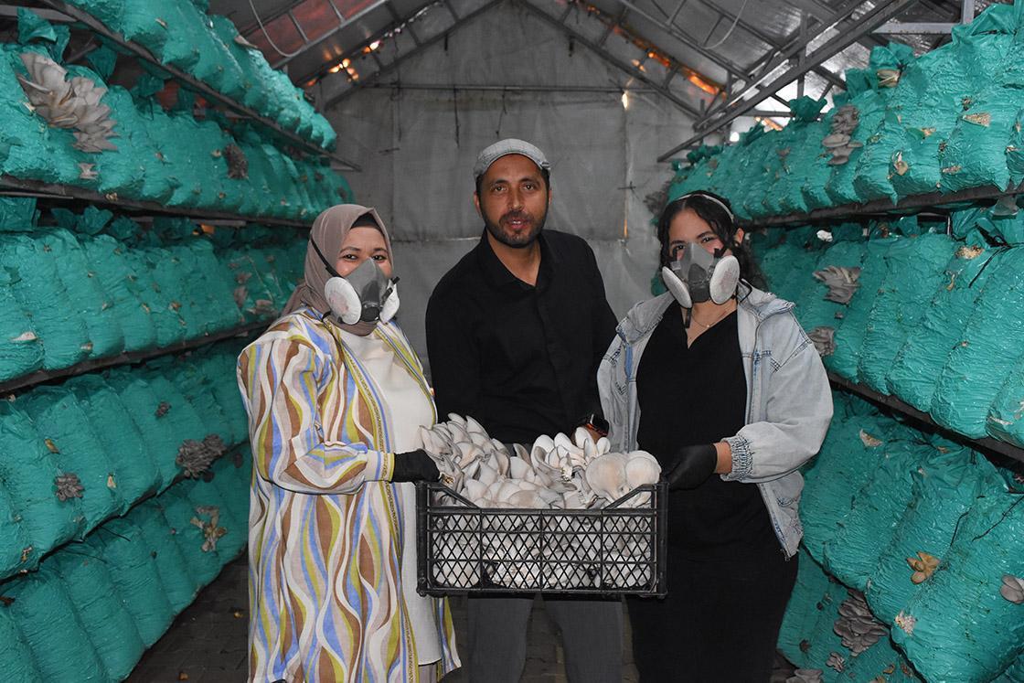 kadin girisimci cadir seralarda yilda 40 ton istiridye mantari uretiyor Ith2qieB.jpg