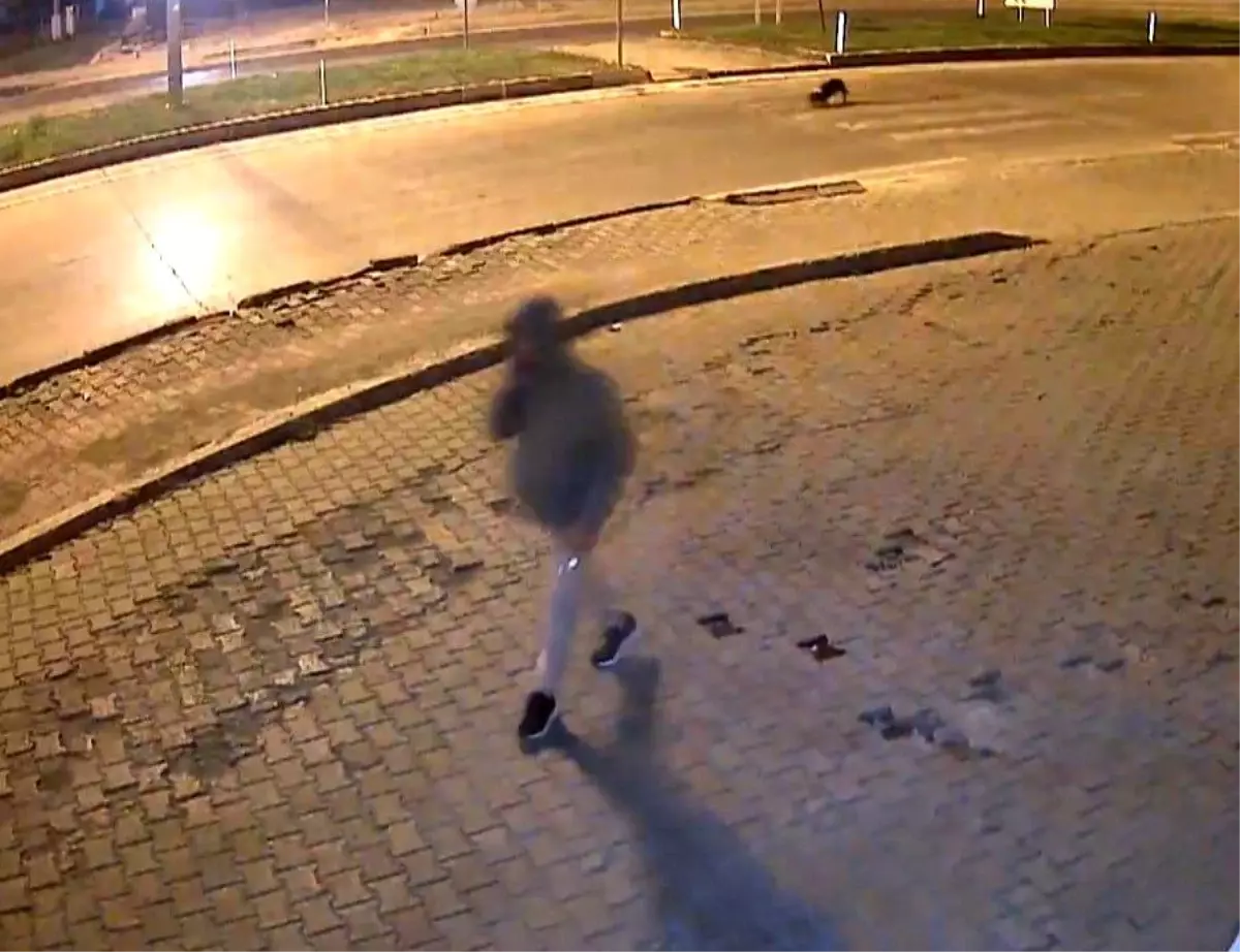 Kahramanmaraş’ta Market Saldırıları Devam Ediyor kahramanmarasta market saldirilari devam ediyor 5AE46R17.jpg