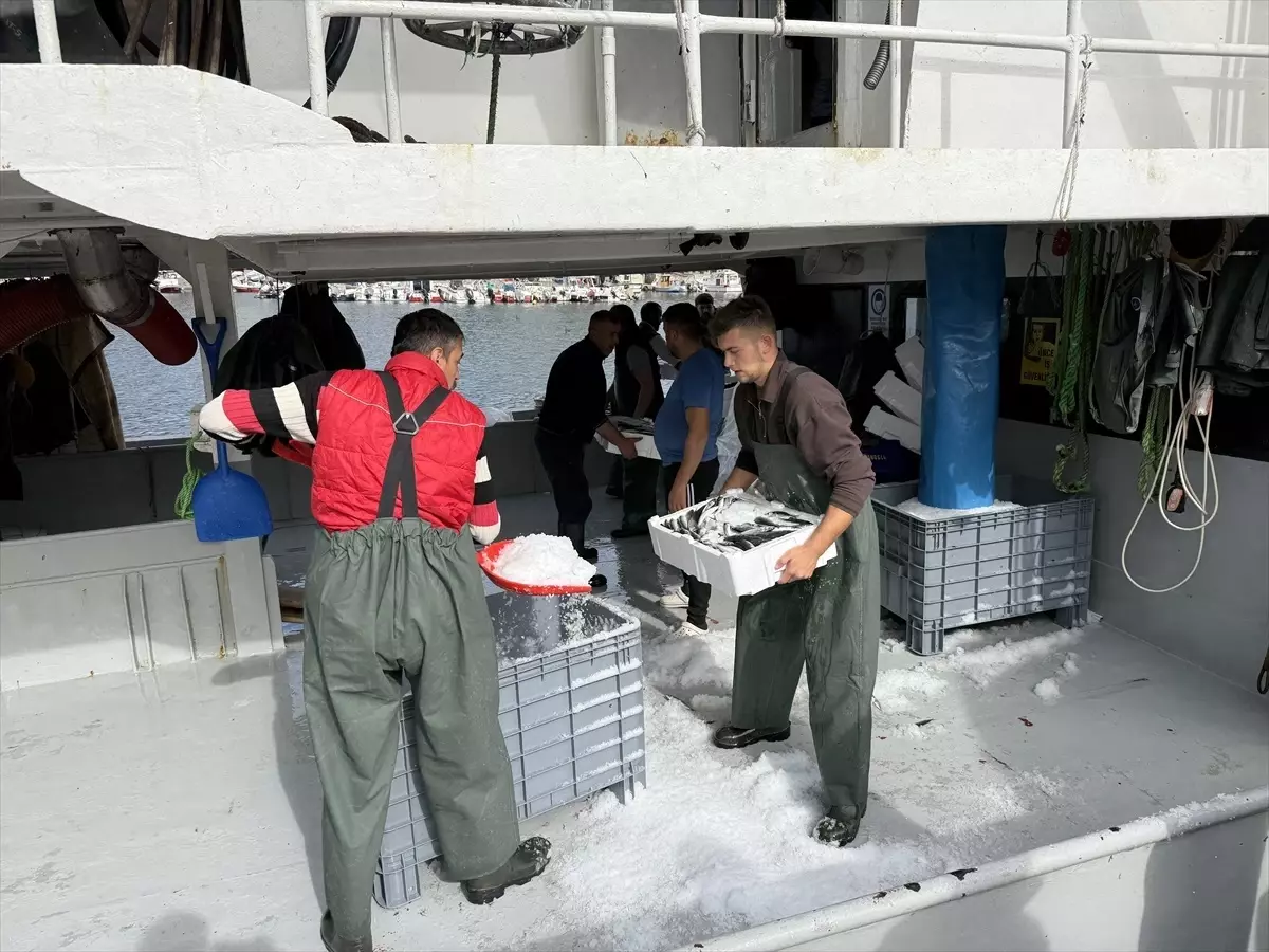 Tekirdağlı Balıkçılar İstavritle Dolu Dönüyor tekirdagli balikcilar istavritle dolu donuyor TbfBB6H9