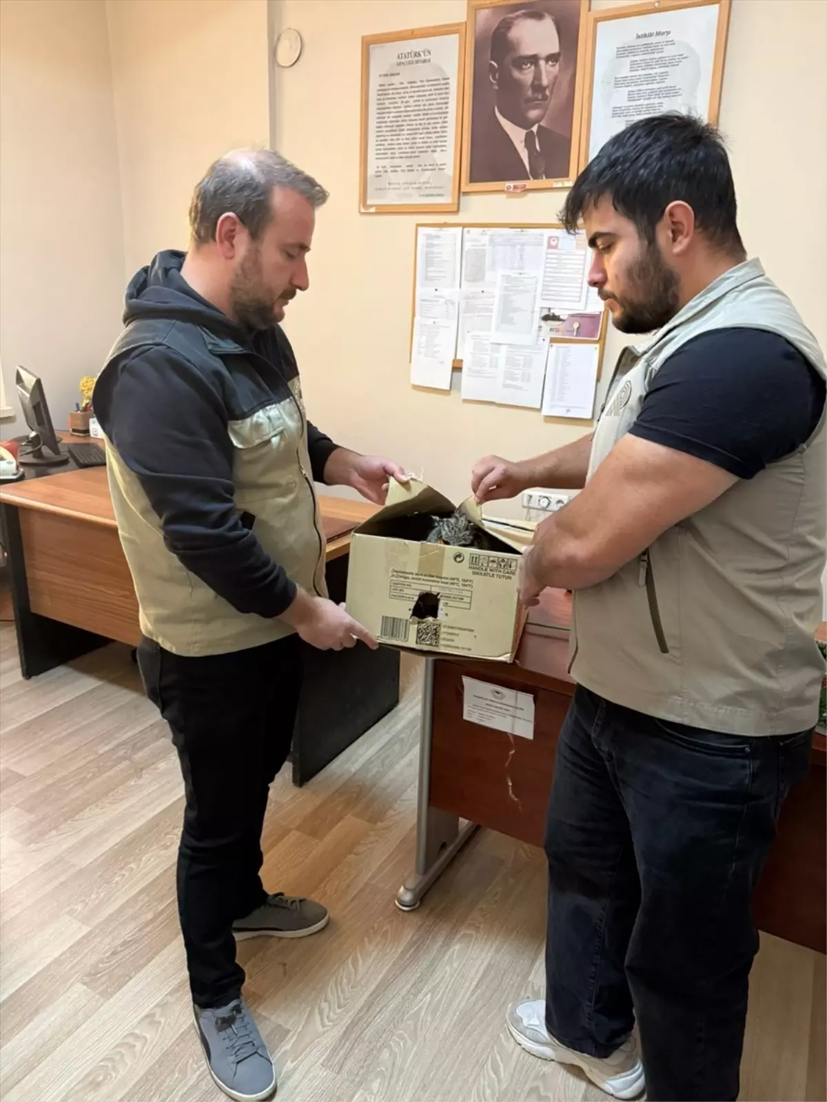 Şırnak’ta Yaralı Kuşlar Doğaya Salınıyor