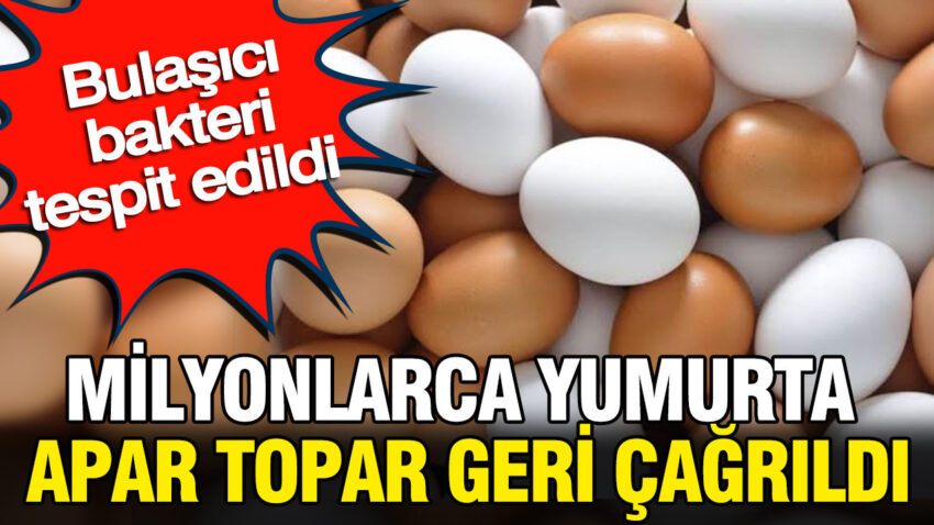 Haber gorseli